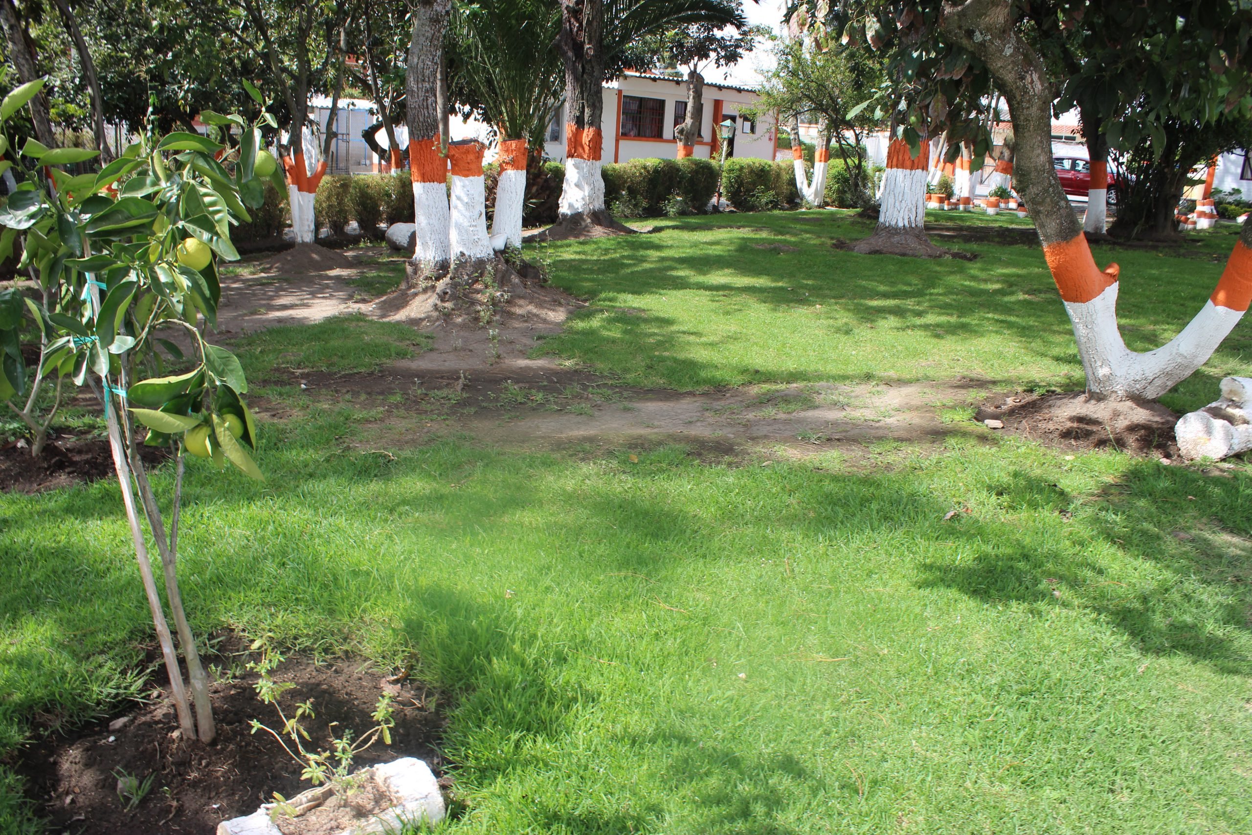 Instalaciones 13